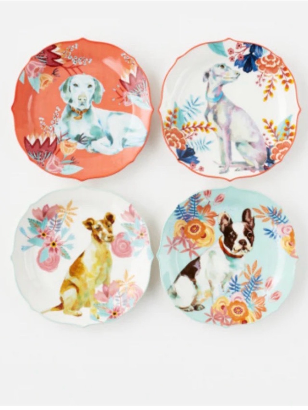 Greyhound scalloped desert plate - Picture 2 of 2